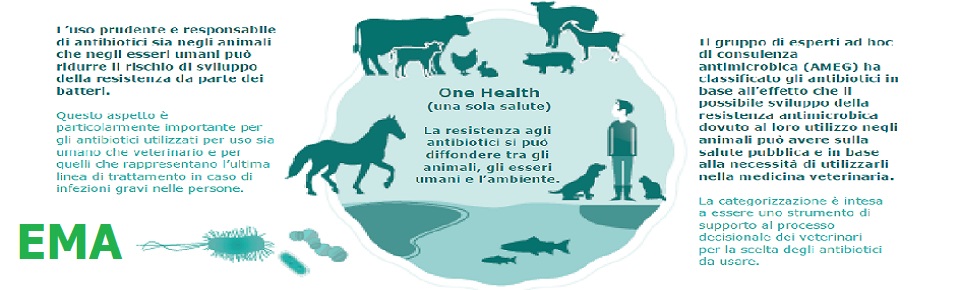 EMA categorizzazione antibiotici, vademecum