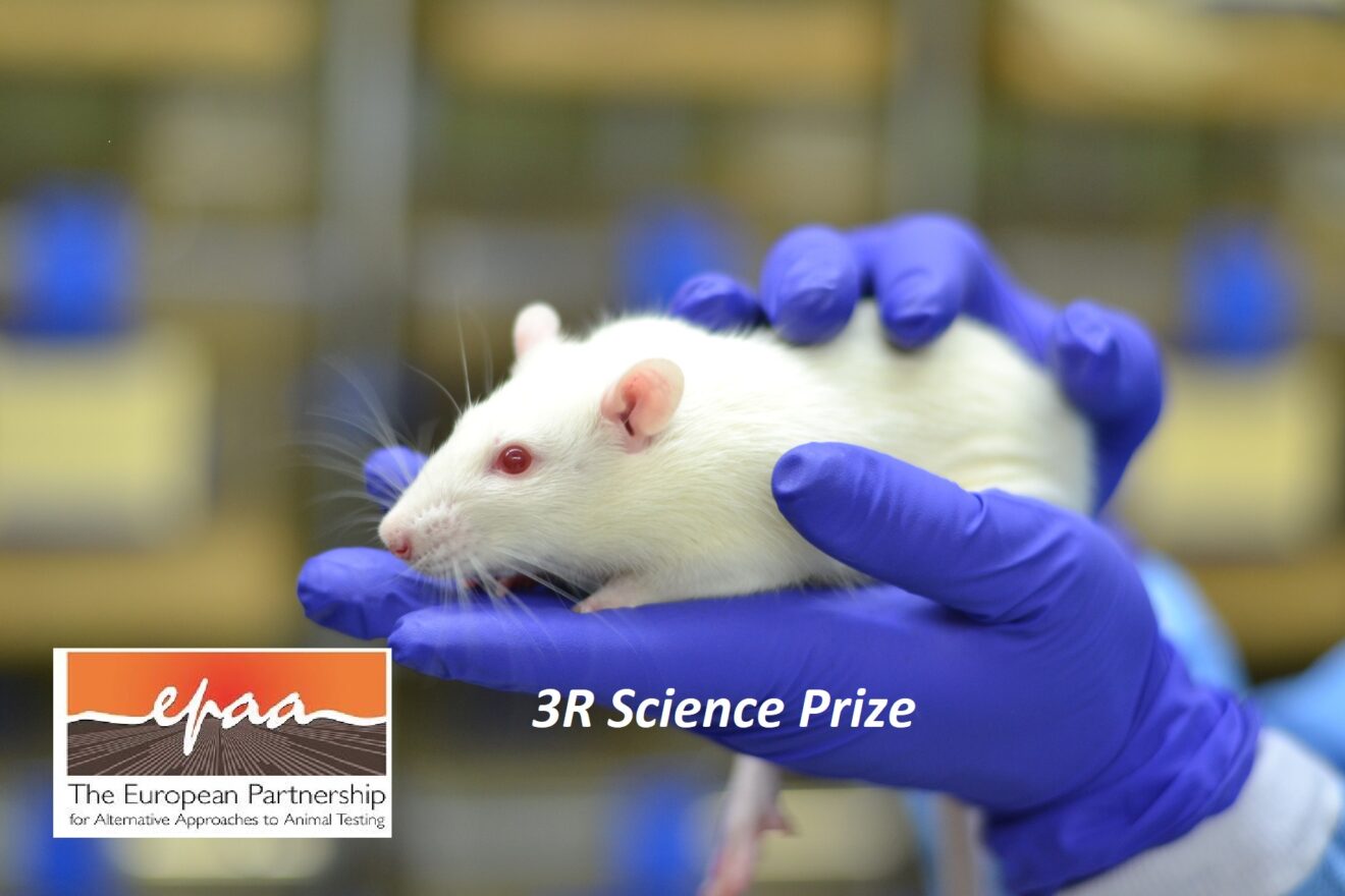 Un premio per la ricerca sui metodi alternativi all’utilizzo di animali