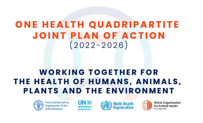 Presentazione del Piano One Health globale, 18 ottobre a Berlino e online