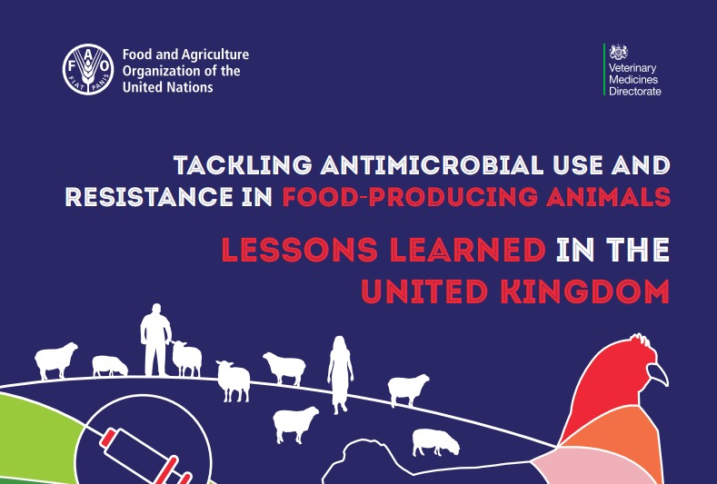 FAO: come affrontare l’antibiotico resistenza (AMR) negli animali, l’esperienza del Regno Unito