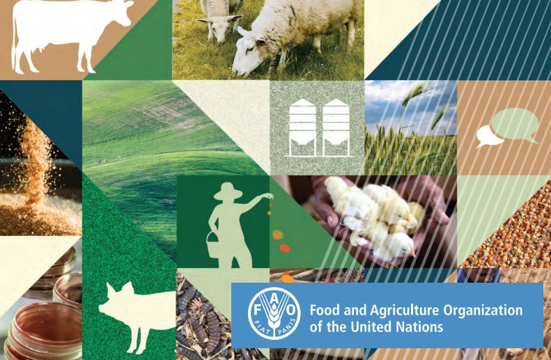 Forum FAO su mangimi per animali, sostenibilità e politiche regolatorie