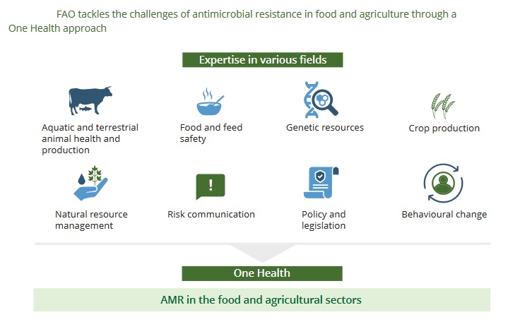 Resistenza antimicrobica, panoramica della situazione mondiale (FAO)