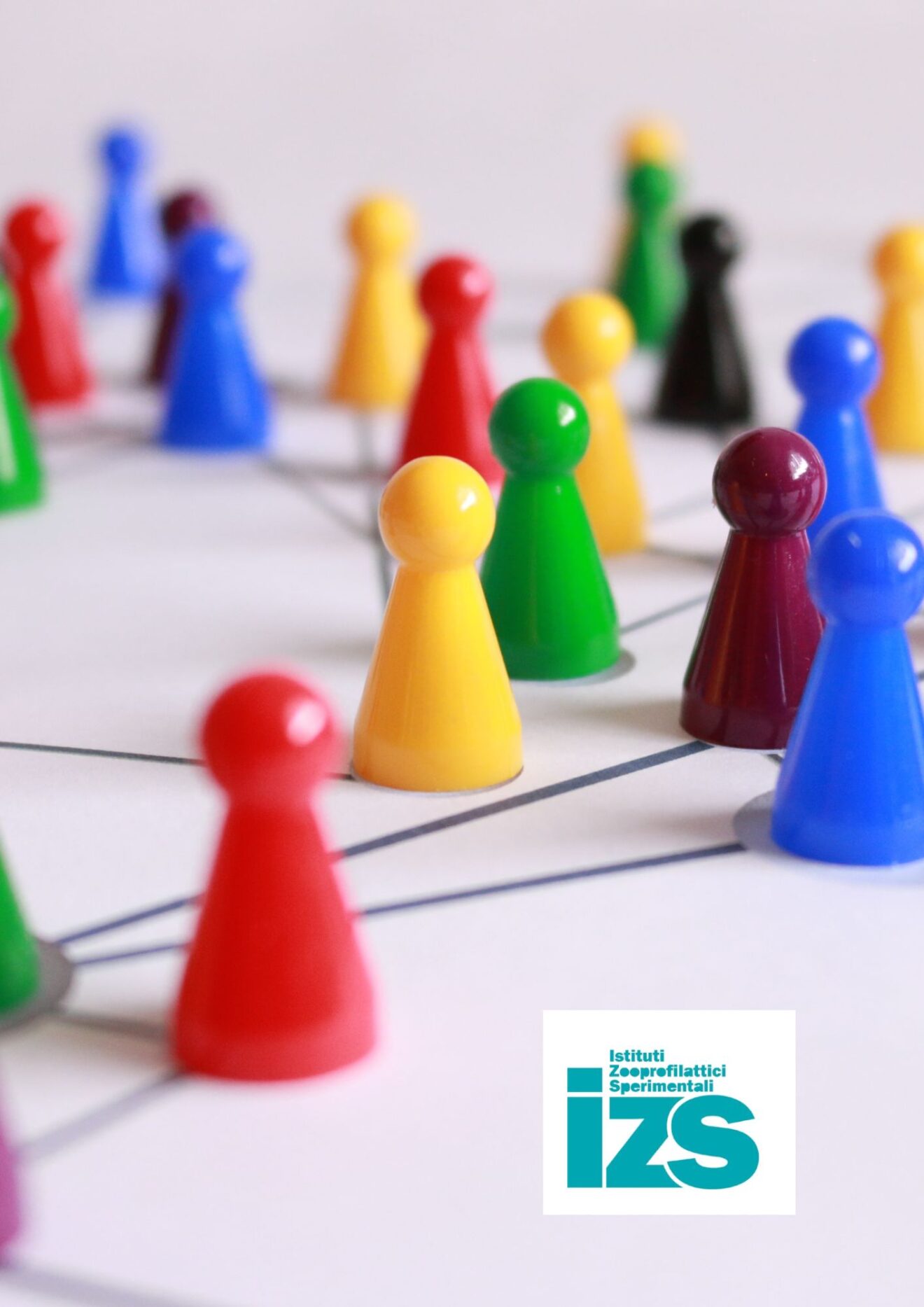 Lumpy Skin Disease (LSD), l’impegno della Rete degli Istituti