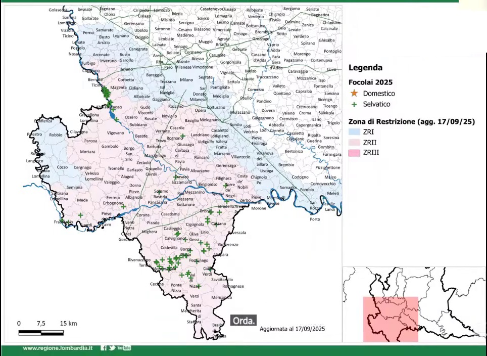 Peste suina africana: aggiornamento della situazione e audit UE